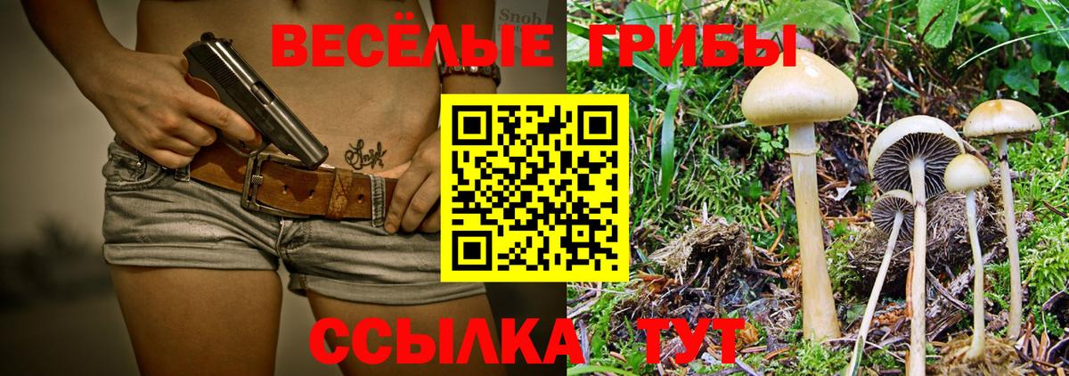 Ставрополь  Галлюциногенные грибы мицелий  Вход с VPN  Псилоцибиновые грибы мухоморы 